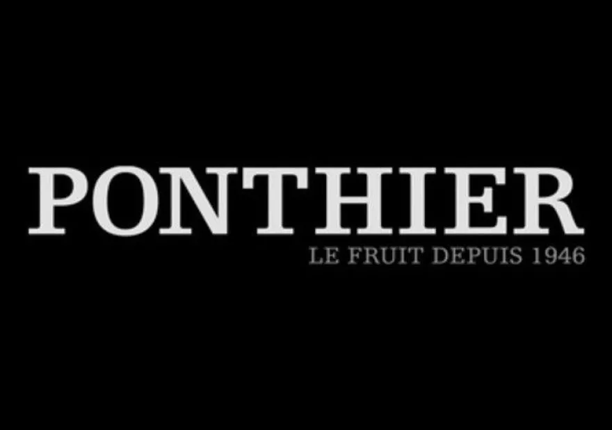 Ponthier Kokosnuss Fruchtpüree 3x 1kg Premium Kokospüree aus Indonesien für Desserts