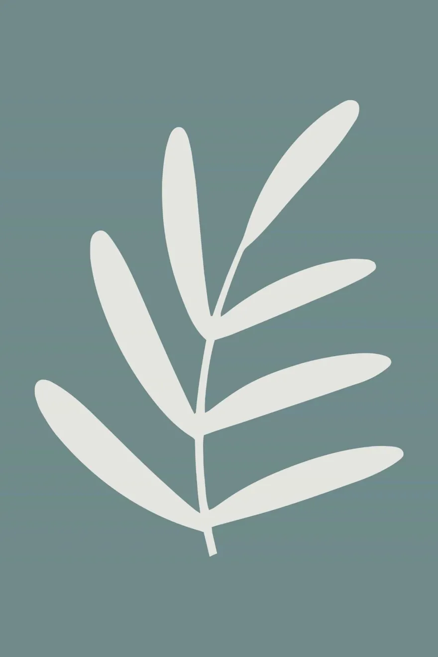 Poster Boho Modern Minimalistisch · Linien Sterne Sonne Bogen Palme Blatt · W