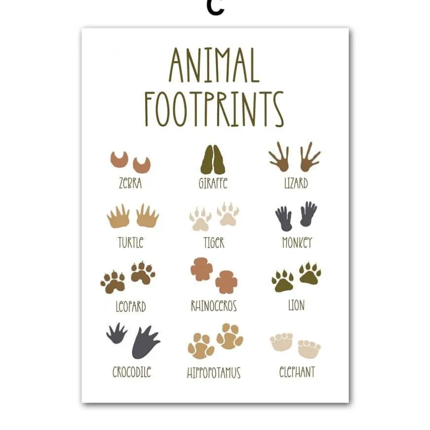 Poster Kinderzimmer Dschungel Tiere · Name Personalisiert · Kinderzimmer Bild