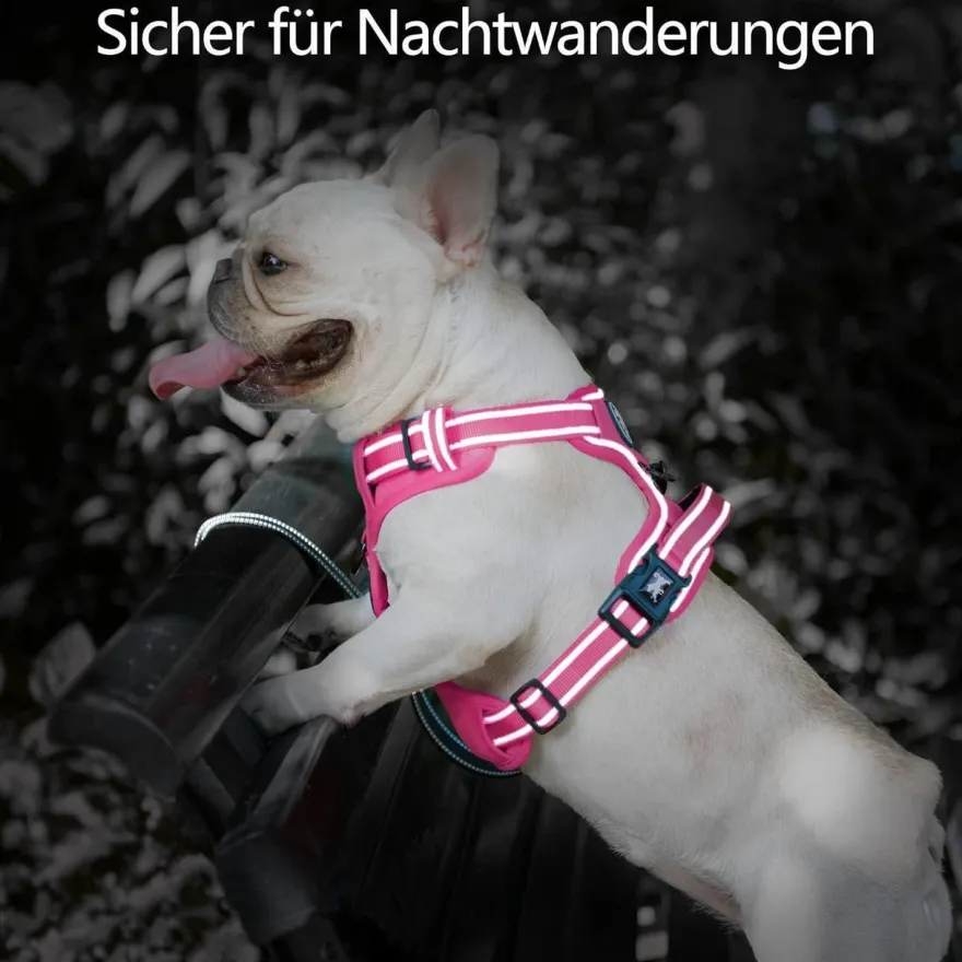 PoyPet Hundegeschirr ohne Zug, reflektierend, weich gepolstert, mit