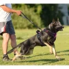 PoyPet Kein Pull Hundegeschirr mit Griff, Rosa, Größe L - Ideal für Training