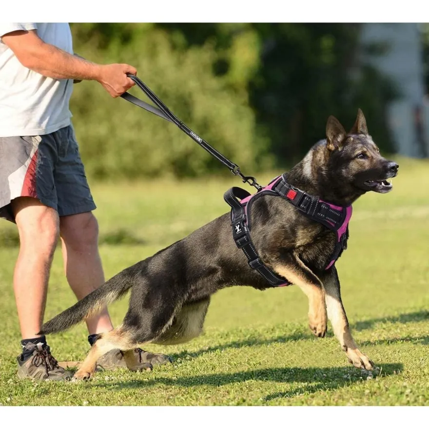PoyPet Kein Pull Hundegeschirr mit Griff, Rosa, Größe L - Ideal für Training
