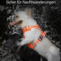 PoyPet Reflektierendes Hundegeschirr ohne Ziehen, weich gepolstert, mit Griff