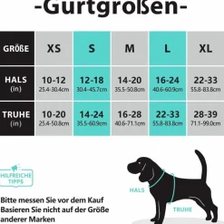 PoyPet Reflektierendes Hundegeschirr ohne Ziehen, weich gepolstert, mit Griff