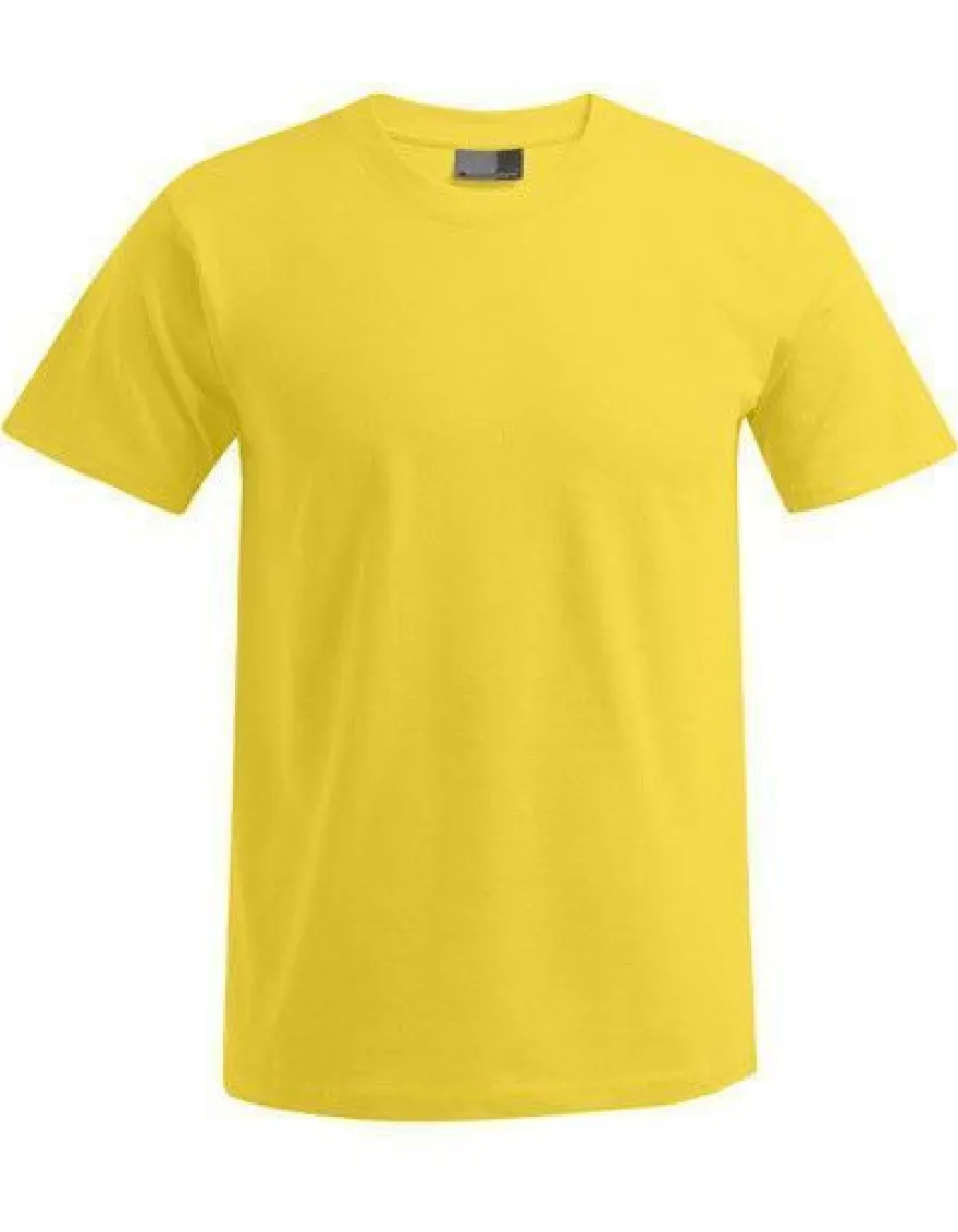 Promodoro Herren T-Shirt Premium Rundhals Shirts XS - 5XL E3000
