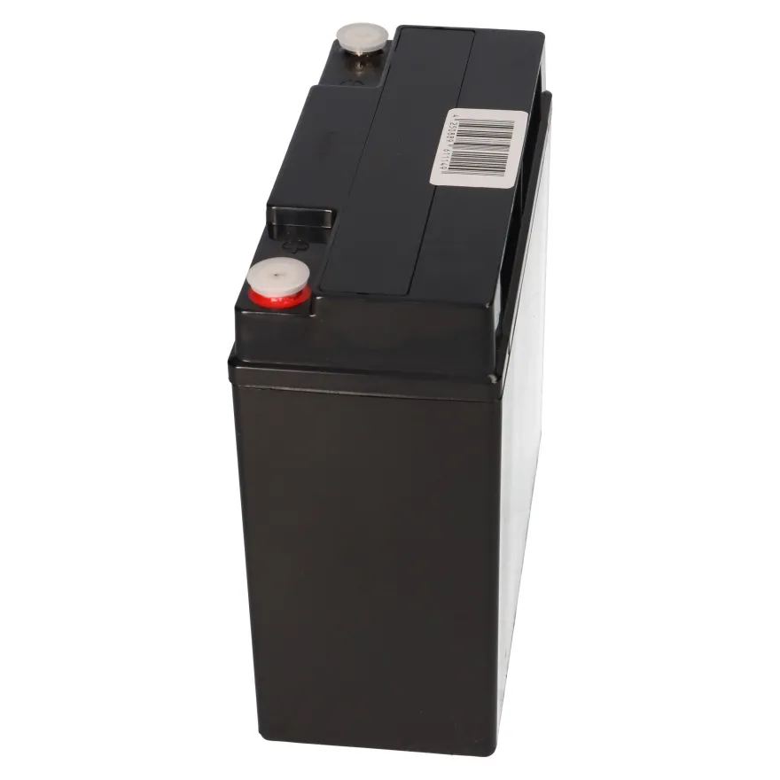 Q-Batteries 12LCP-23 12 V 23 Ah AGM Deep-Cycle-Akku