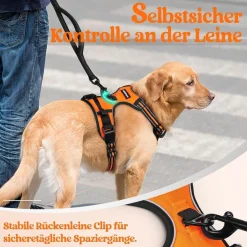 rabbitgoo Anti Zug Hundegeschirr L Orange - Sichere Führung & Komfort für Ihren