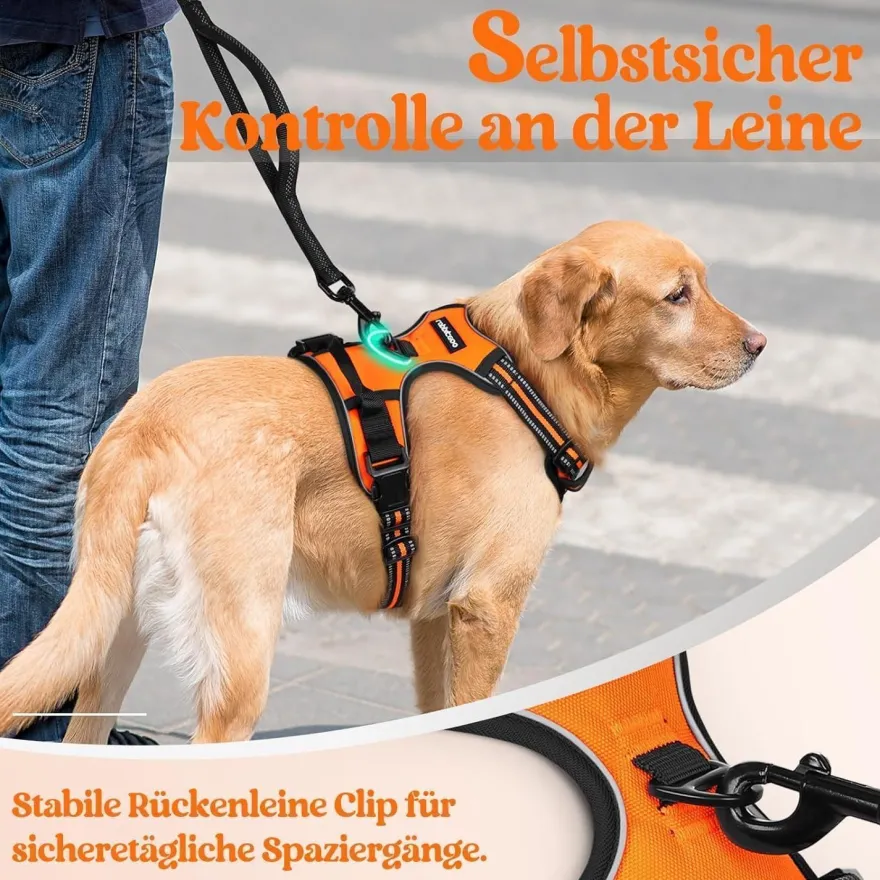 rabbitgoo Anti Zug Hundegeschirr L Orange - Sichere Führung & Komfort für Ihren