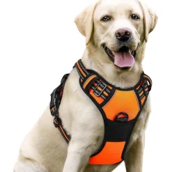 rabbitgoo Anti Zug Hundegeschirr L Orange - Sichere Führung & Komfort für Ihren
