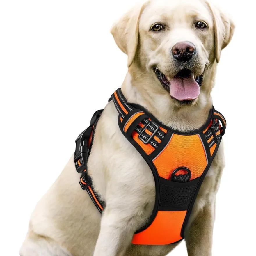 rabbitgoo Anti Zug Hundegeschirr L Orange - Sichere Führung & Komfort für Ihren