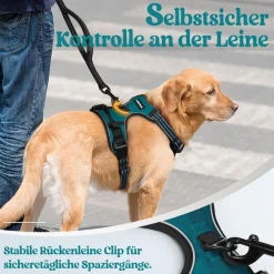 rabbitgoo Anti Zug Hundegeschirr L Dunkelgrün - Kein Ziehen, Sichere Führung