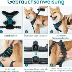 rabbitgoo Anti Zug Hundegeschirr L Dunkelgrün - Kein Ziehen, Sichere Führung