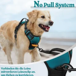 rabbitgoo Anti Zug Hundegeschirr L Dunkelgrün - Kein Ziehen, Sichere Führung