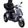 3-RAD Seniorenmobil NEO 25 KM/H