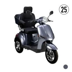 3-RAD Seniorenmobil NEO 25 KM/H