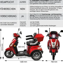 Rolektro E-Trike 25 V.3 Pro Dreirad Elektroroller Seniorenmobil mit Straßenzulassung