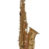 Roy Benson AS-202 Alt Saxophon