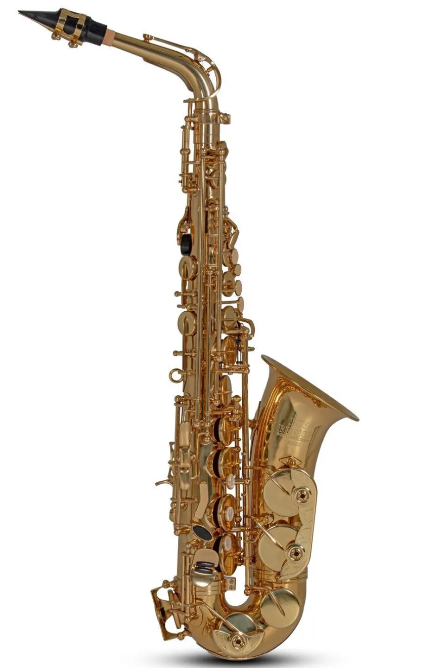 Roy Benson AS-202 Alt Saxophon