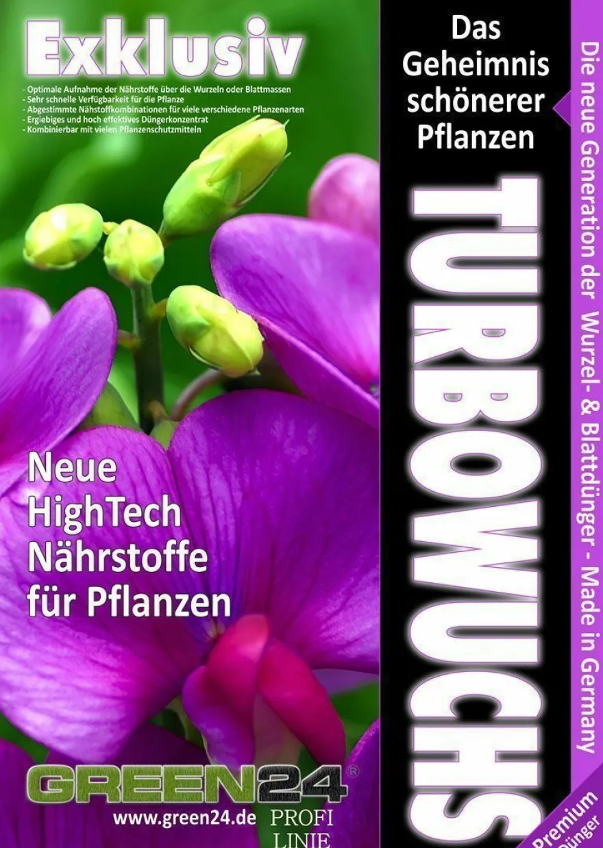 Schmucklilien Dünger Agapanthus düngen Flüssigdünger Schmucklilie, Liebesblume