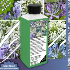 Schmucklilien Dünger Agapanthus düngen Flüssigdünger Schmucklilie, Liebesblume
