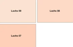 Südwest Bio Innen-Silikat Mischfarbe - Silikatfarbe Wandfarbe Schimmelschutz