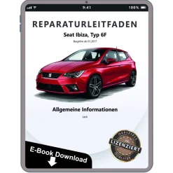 Seat Ibiza Typ 6F ab 2017 Allgemeine Information Lack Reparaturanleitung eBook