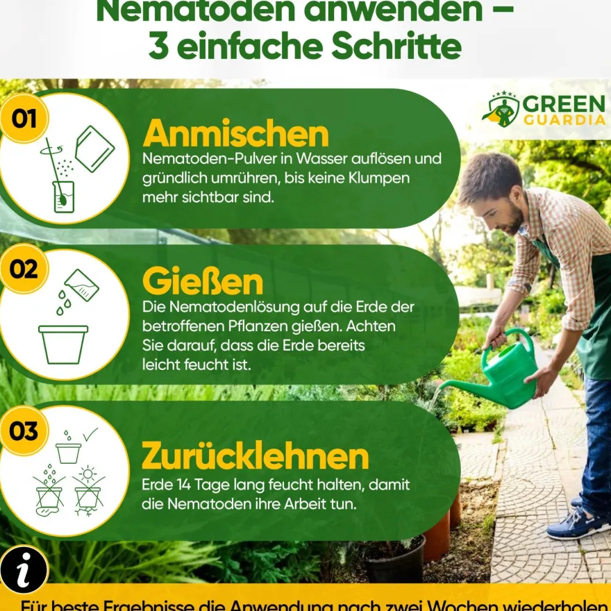 SF-Nematoden gegen Trauermücken