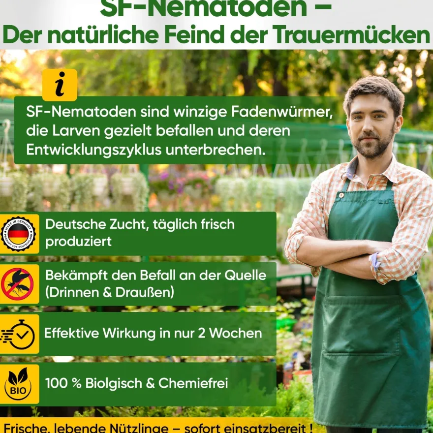 SF-Nematoden gegen Trauermücken