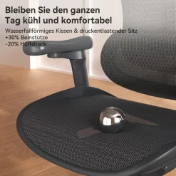 SIHOO Ergonomischer Bürostuhl C300 mit 3D-Armlehnen & Lordosenstütze, Schwarz