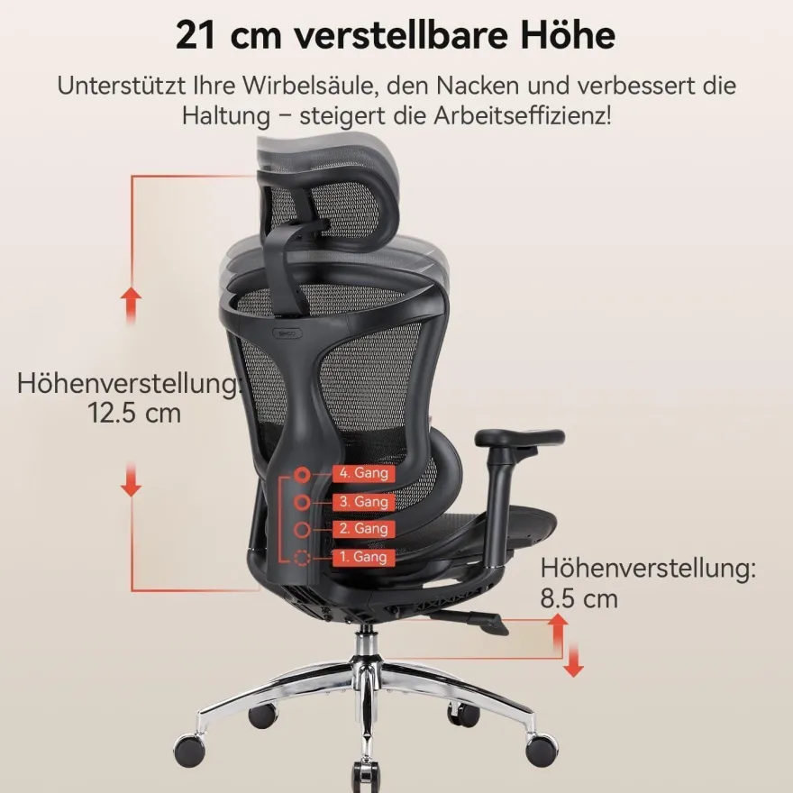 SIHOO Ergonomischer Bürostuhl C300 mit 3D-Armlehnen & Lordosenstütze, Schwarz