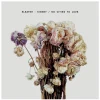 Sleater-Kinney: No Cities To Love (180g) - 375 Media 00077941 - (LP / N)