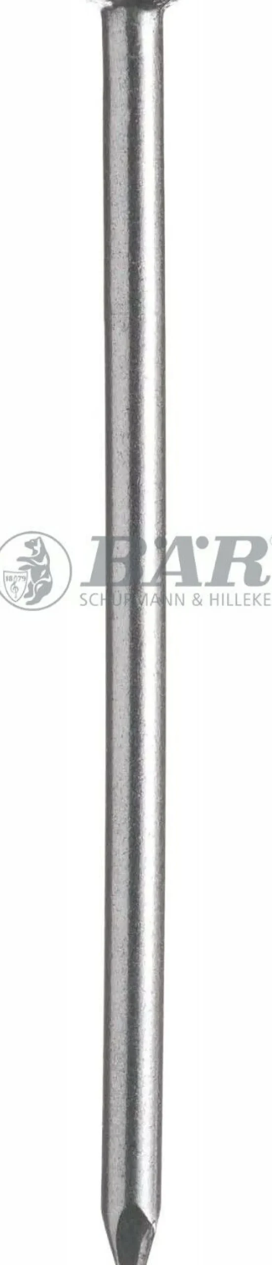 100 Stück Drahtstifte 3,1x80 mm Edelstahl V2A Senkkopfstifte Drahtnägel