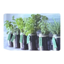 4 Stück Platzsets Tischsets je 43,5 x 28 cm Platzmatten Platzdeckchen abwaschbar