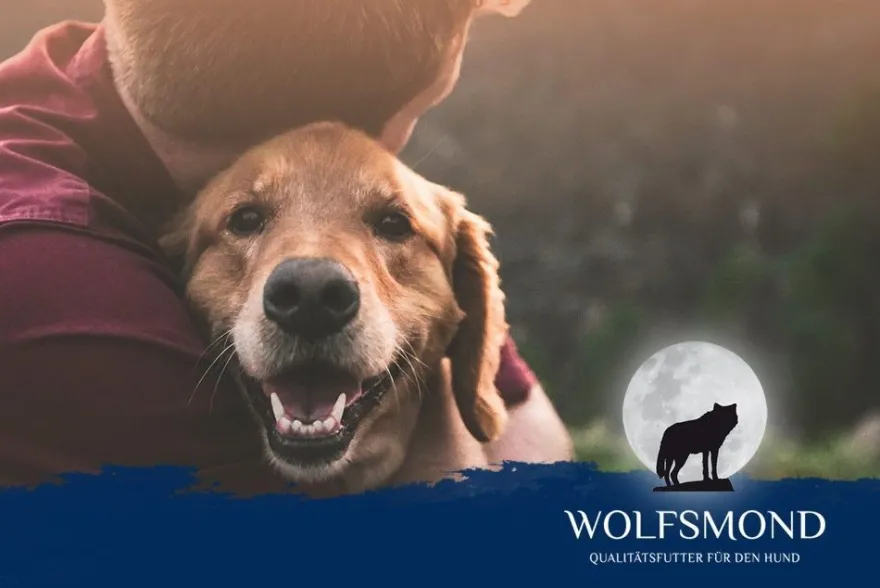 120 Stk XL-Rinderohren mit Ohrmuschel Hundefutter Hundesnacks Kausnack Kauartikel