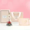 Sunia Beste Mama Geschenke Engel Figur Ewige Rose in Glaskuppel