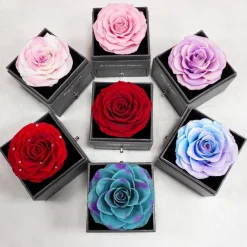 Sunia Ewige Rose Konservierte Blumen mit Herz Halskette Geschenk für Frauen
