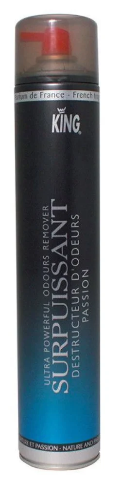 Surpuissant Geruchsvernichter Passion King Air Fresh 750 ml Aerosol