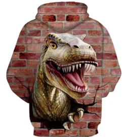 Sweatshirts Kinder Jungen Madchen Hoodies Dinosaurier Hoody Geschenk Dinosaurier