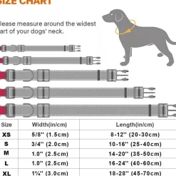 Taglory Hundehalsband M (35-50cm) - Verstellbar, Gepolstert, Reflektierend