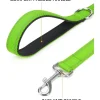 Taglory Hundeleine Grün, 1.8m x 2cm, Gepolsterter Griff, Reflektierend, Bis 10kg