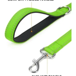 Taglory Hundeleine Grün, 1.8m x 2cm, Gepolsterter Griff, Reflektierend, Bis 10kg