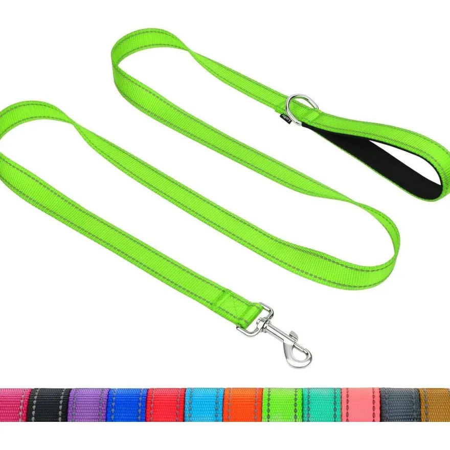 Taglory Hundeleine Grün, 1.8m x 2cm, Gepolsterter Griff, Reflektierend, Bis 10kg