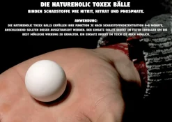 Teich Sumpfdeckelschnecke 10 St. + 1 NH TOXEX BALL - (Faden) Algen und Laubfresser
