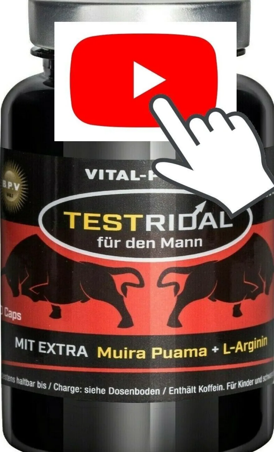 Testridal 60 Kapseln, Pre Workout Booster, Testosteron Booster, Hardcore Booster