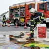 Theis ÖlBond Typ III R Grob | 50l Ölbindemittel