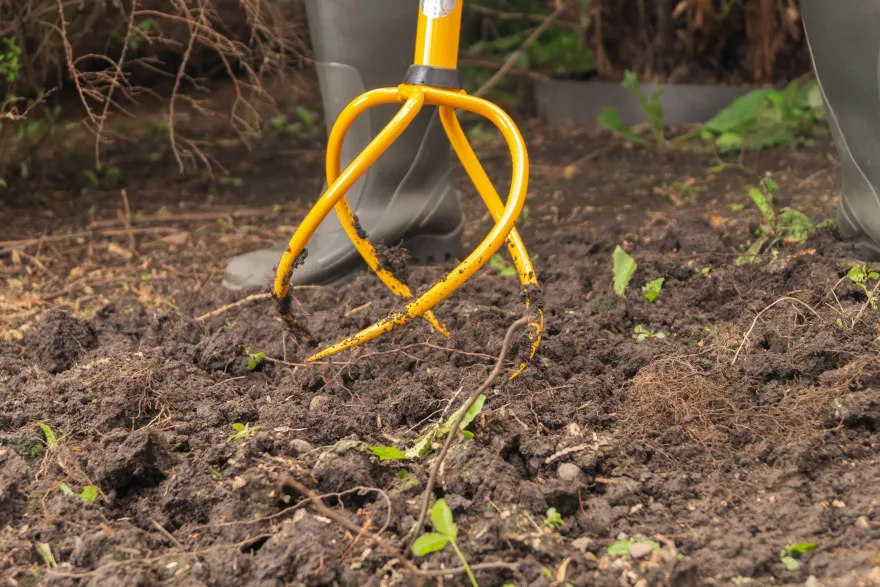 Tornadica 2in1 Gartenkralle - Vertikutierer und Unkrautentferner in einem