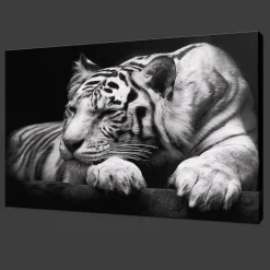 Trayosin 5D DIY Diamant Painting Kit XXL Tiger, Tier Diamant Malerei für