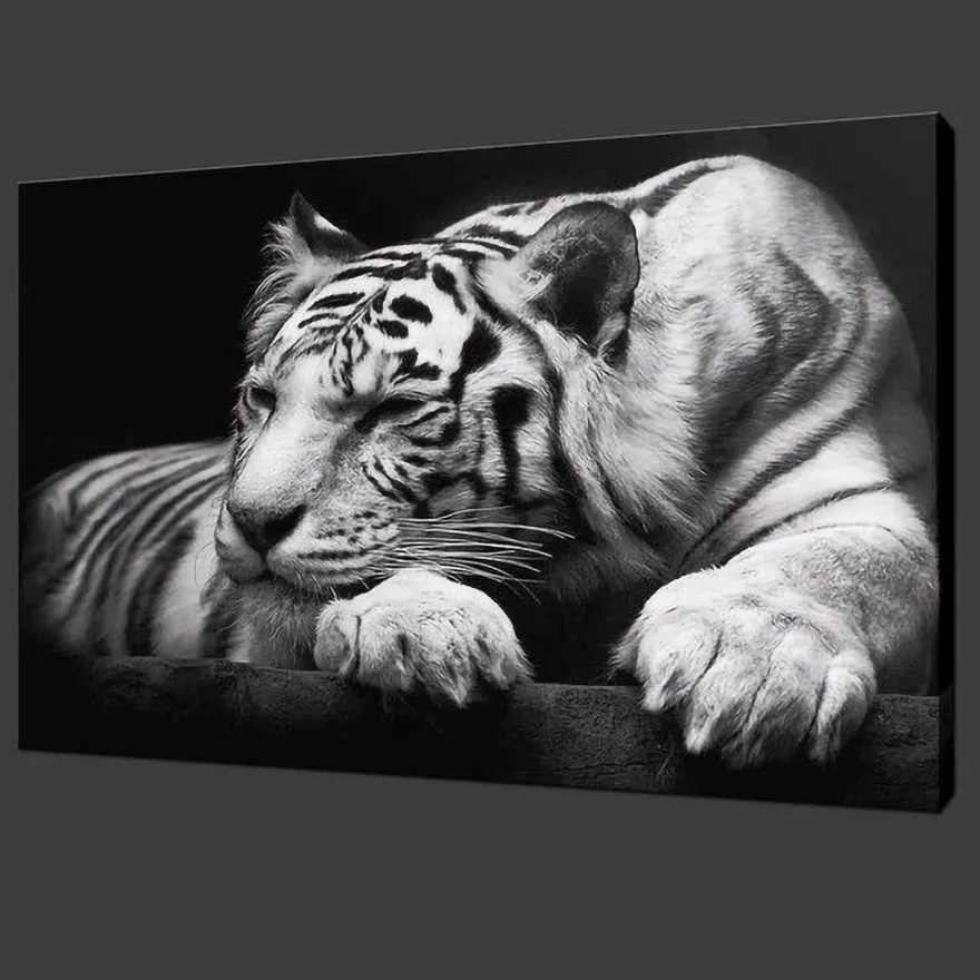 Trayosin 5D DIY Diamant Painting Kit XXL Tiger, Tier Diamant Malerei für