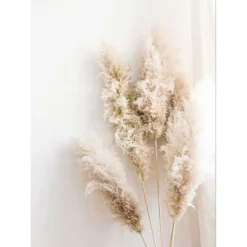 Trayosin 3er Premium Poster Set, Schilf Natur Leinwandbilder, Moderne