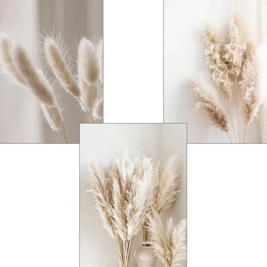 Trayosin 3er Premium Poster Set, Schilf Natur Leinwandbilder, Moderne